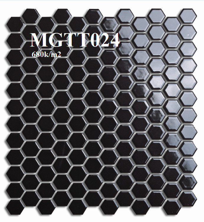 MGTT024